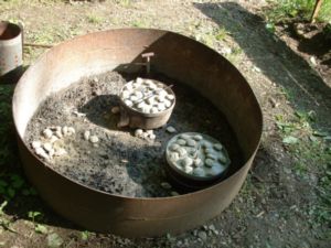 Coals sitting upon the dutch ovens